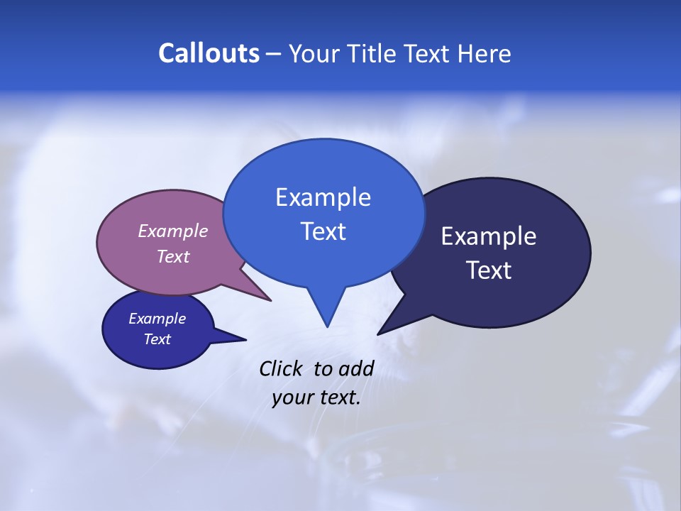 Equipment Flask Pipette PowerPoint Template