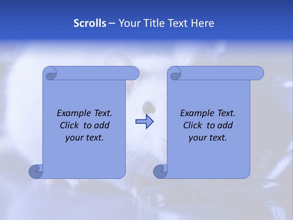 Equipment Flask Pipette PowerPoint Template