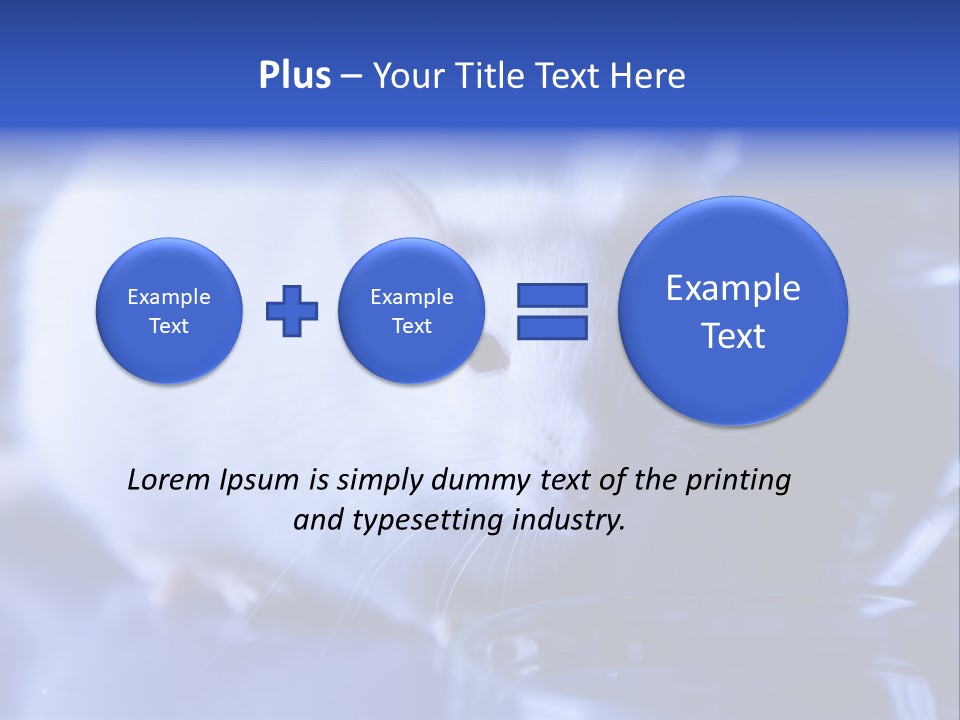 Equipment Flask Pipette PowerPoint Template