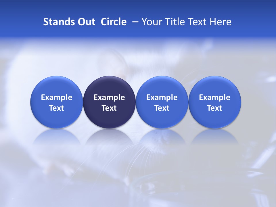Equipment Flask Pipette PowerPoint Template