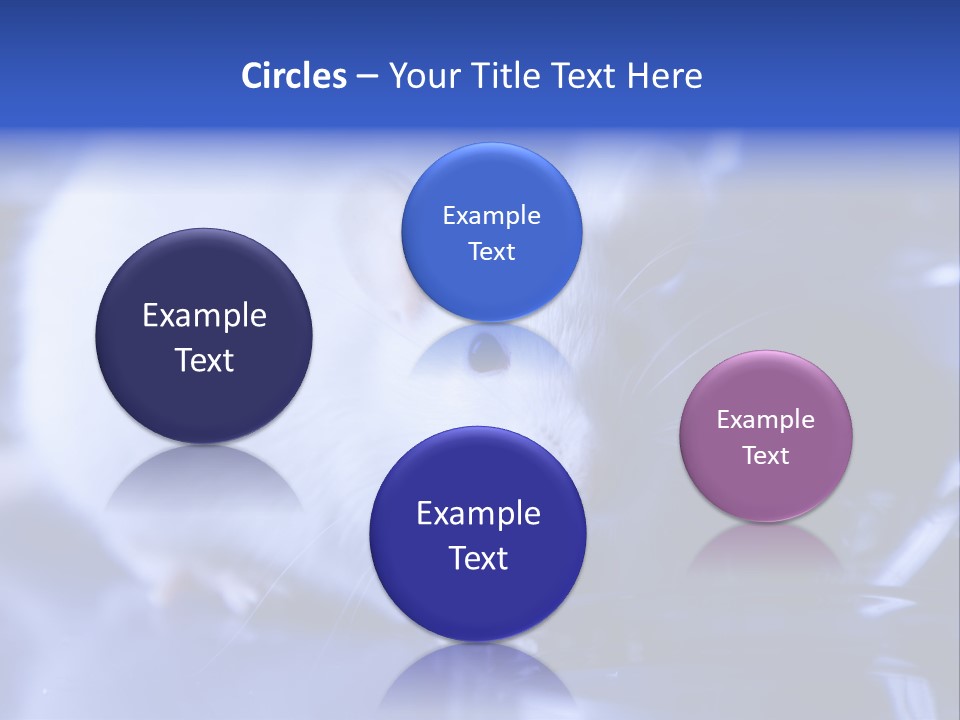 Equipment Flask Pipette PowerPoint Template