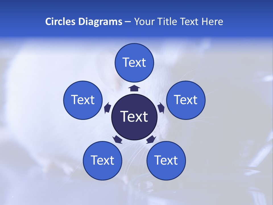 Equipment Flask Pipette PowerPoint Template