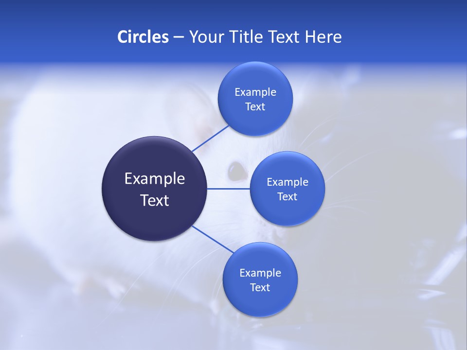 Equipment Flask Pipette PowerPoint Template