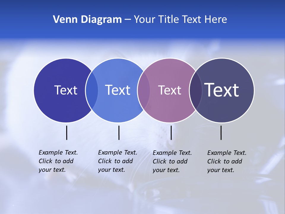 Equipment Flask Pipette PowerPoint Template