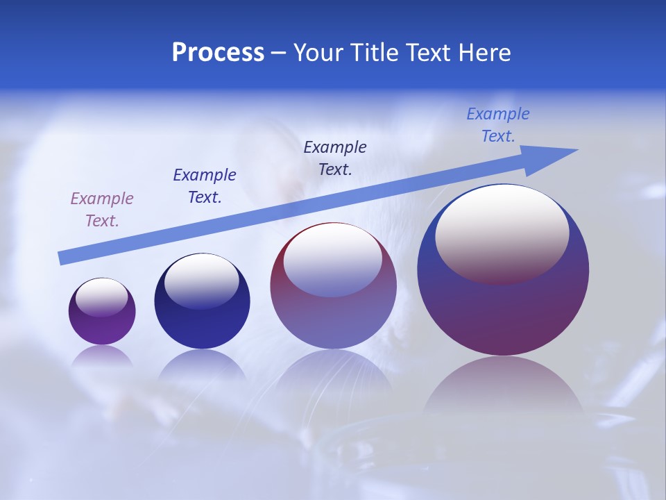 Equipment Flask Pipette PowerPoint Template