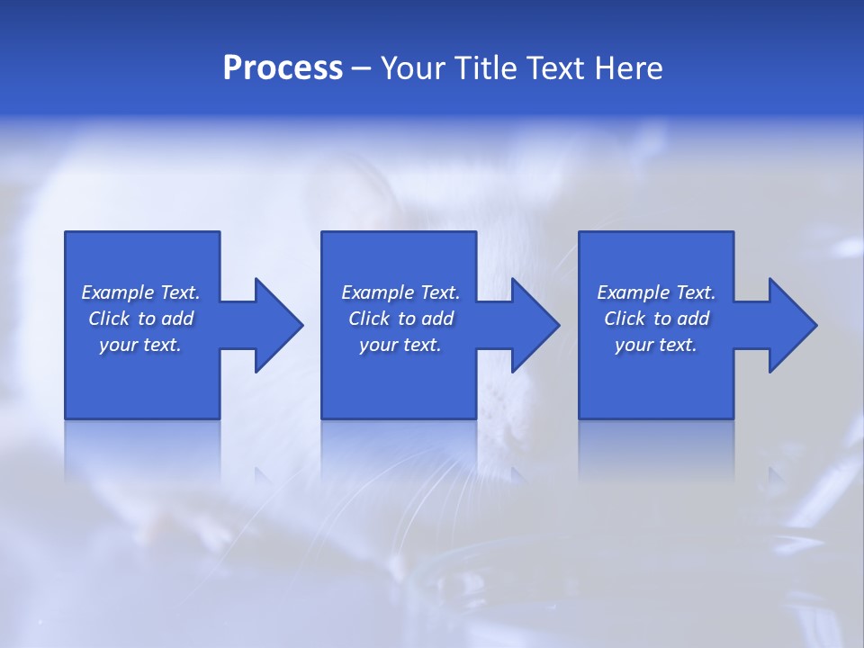 Equipment Flask Pipette PowerPoint Template