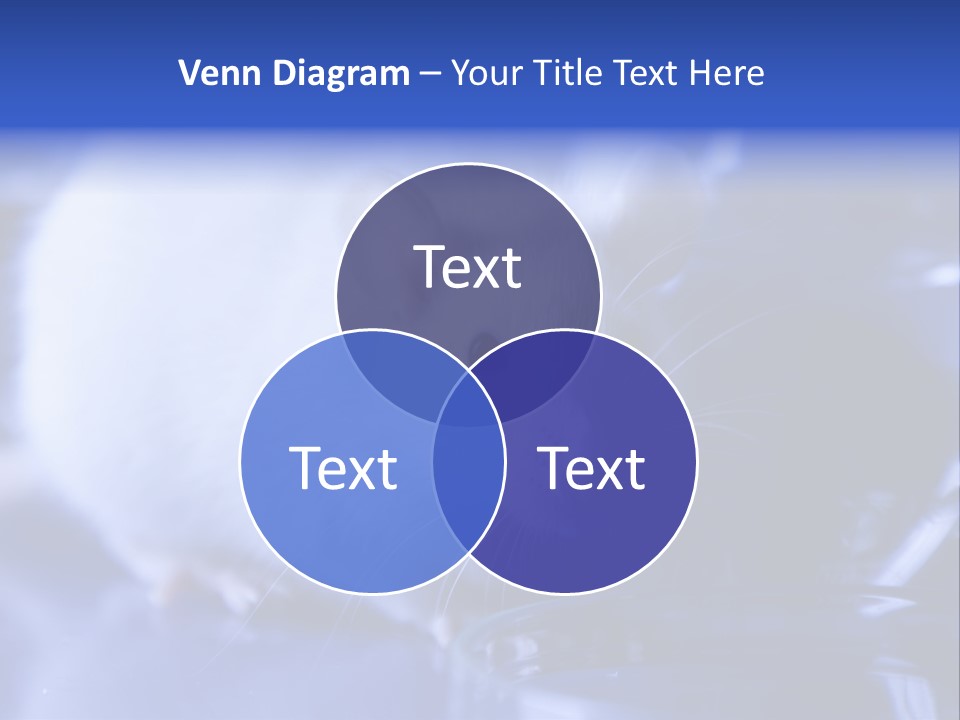 Equipment Flask Pipette PowerPoint Template