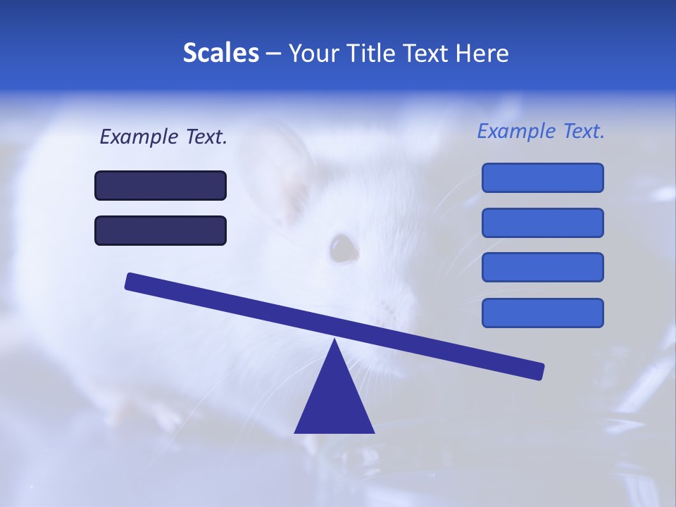 Equipment Flask Pipette PowerPoint Template