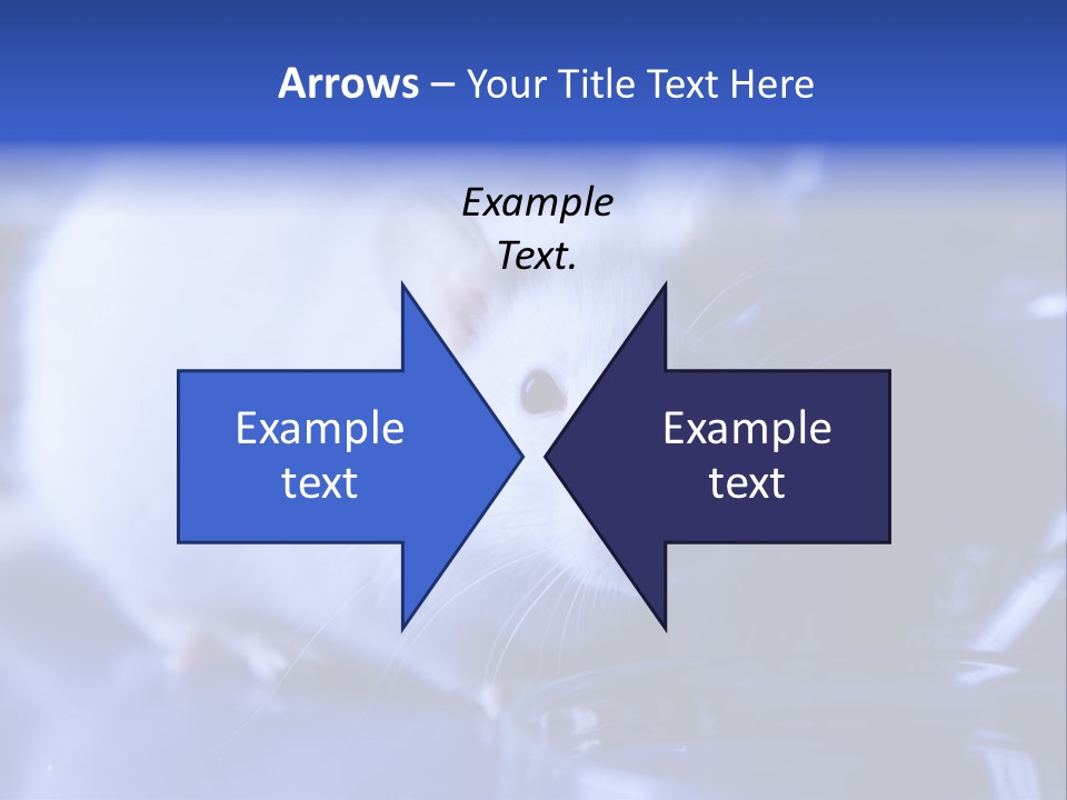 Equipment Flask Pipette PowerPoint Template