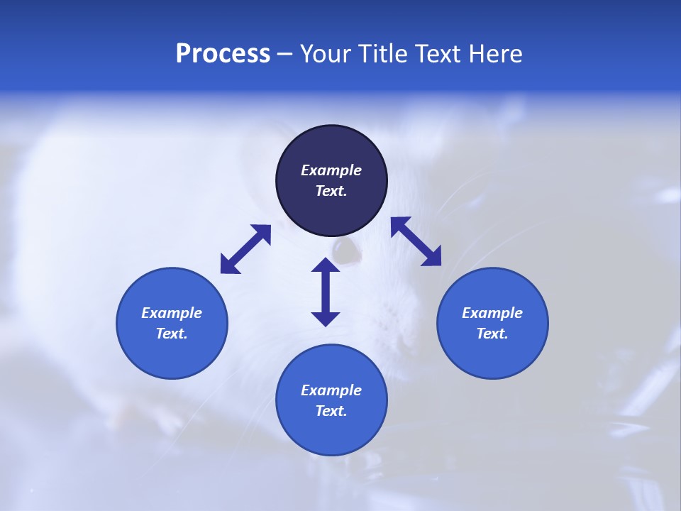 Equipment Flask Pipette PowerPoint Template