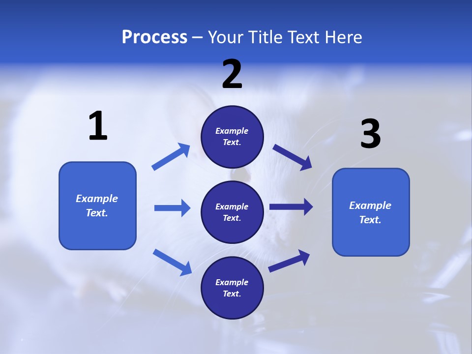 Equipment Flask Pipette PowerPoint Template
