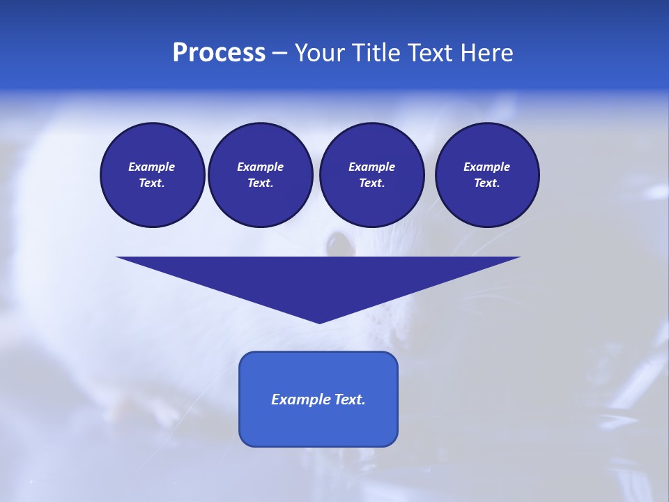 Equipment Flask Pipette PowerPoint Template