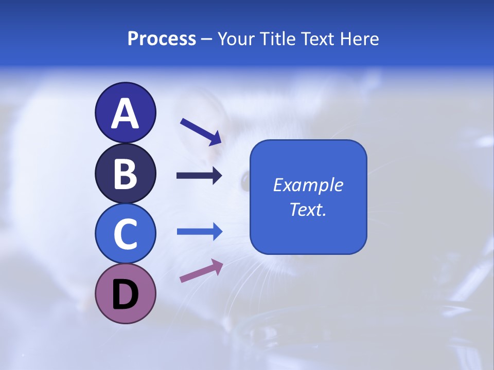 Equipment Flask Pipette PowerPoint Template