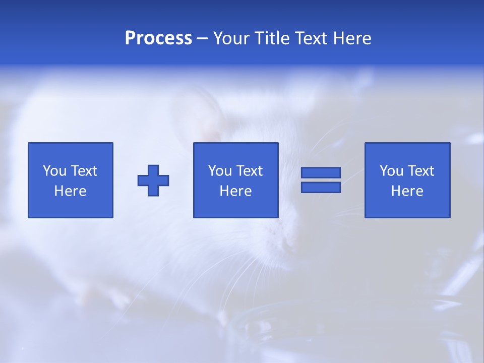 Equipment Flask Pipette PowerPoint Template