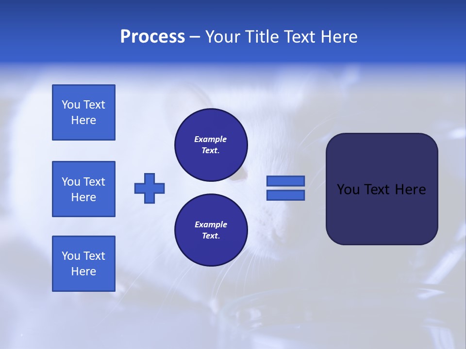 Equipment Flask Pipette PowerPoint Template