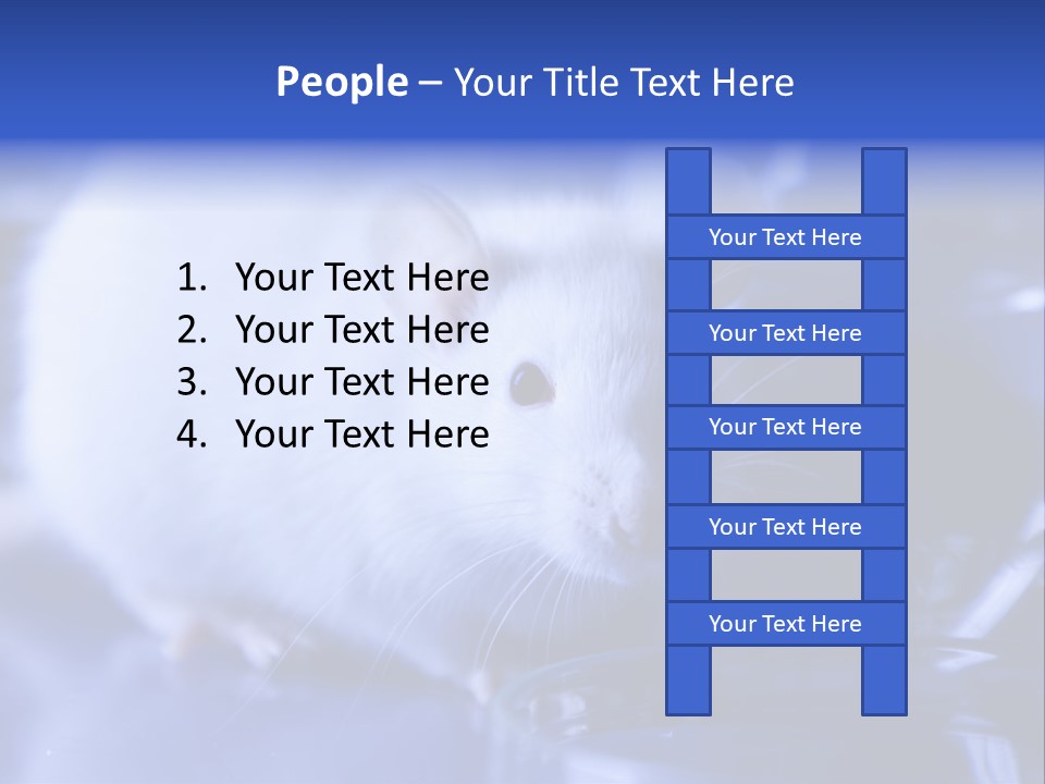 Equipment Flask Pipette PowerPoint Template