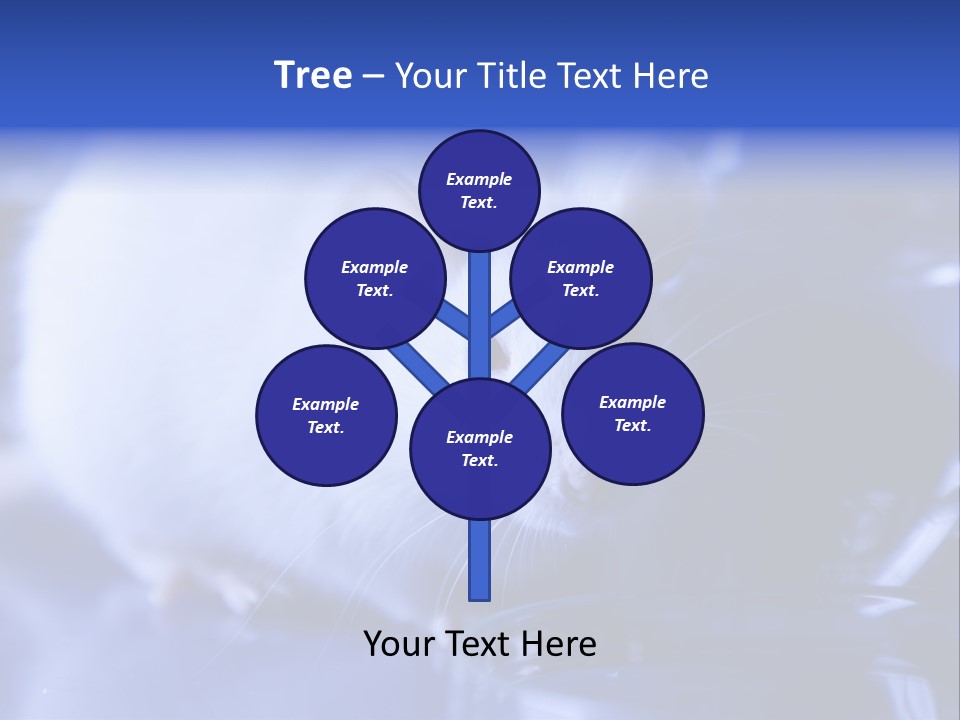 Equipment Flask Pipette PowerPoint Template