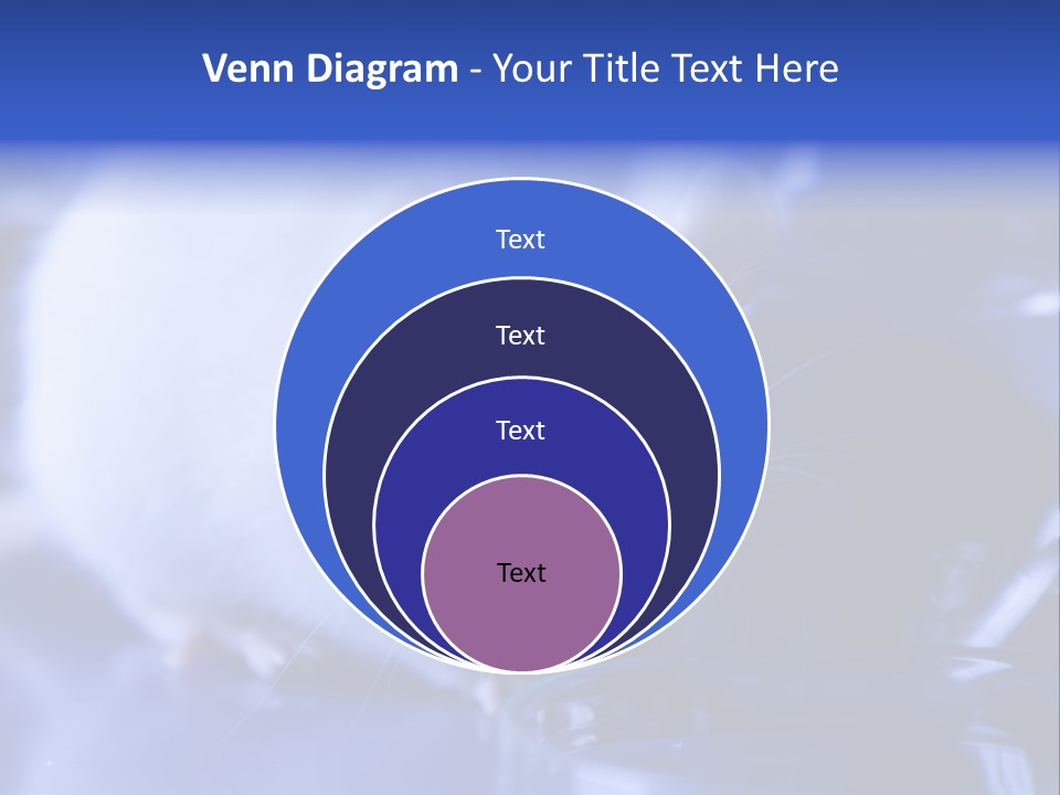Equipment Flask Pipette PowerPoint Template