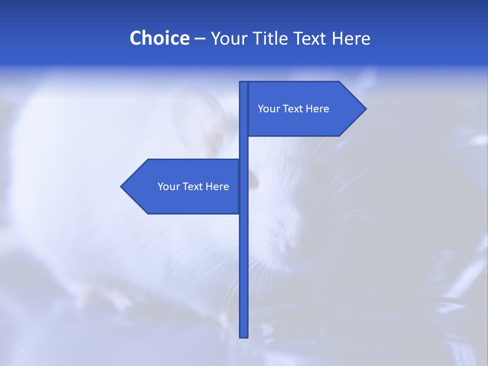 Equipment Flask Pipette PowerPoint Template