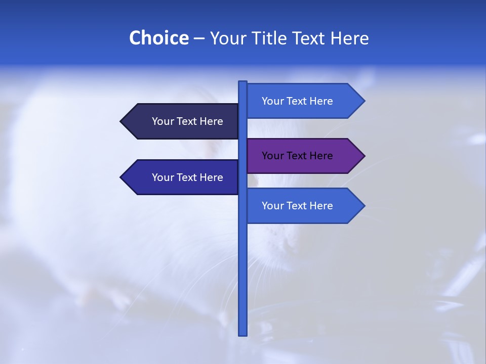 Equipment Flask Pipette PowerPoint Template