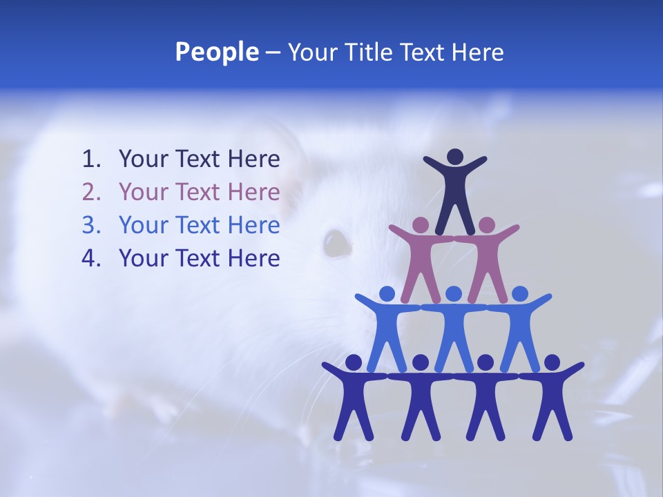 Equipment Flask Pipette PowerPoint Template