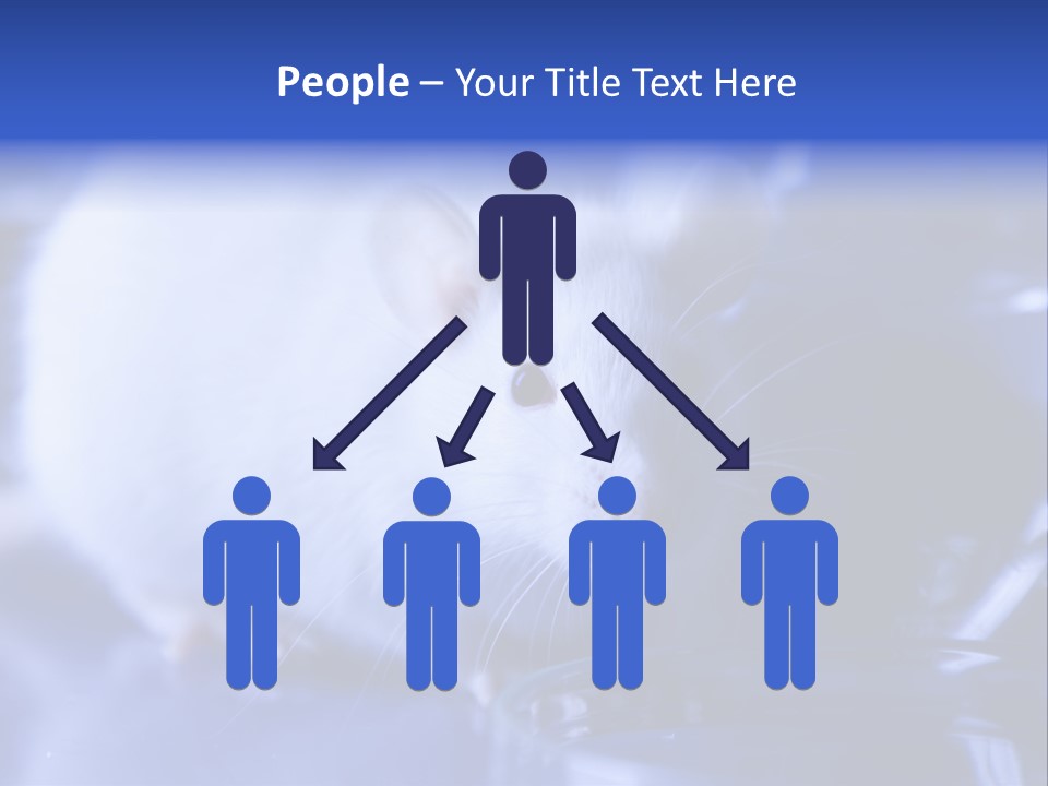 Equipment Flask Pipette PowerPoint Template