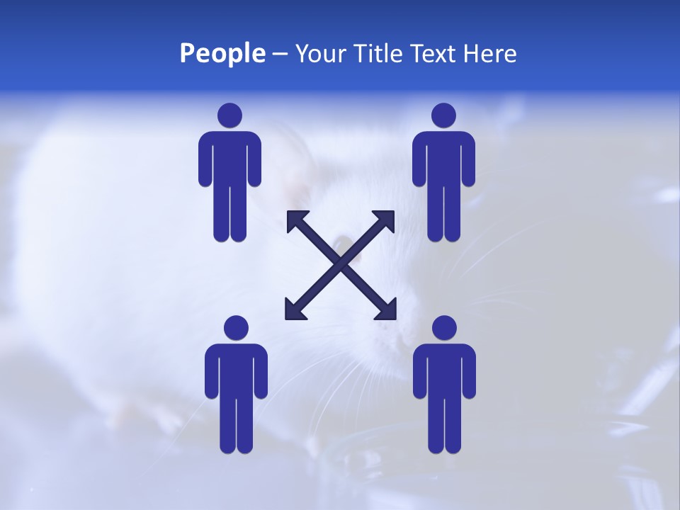 Equipment Flask Pipette PowerPoint Template