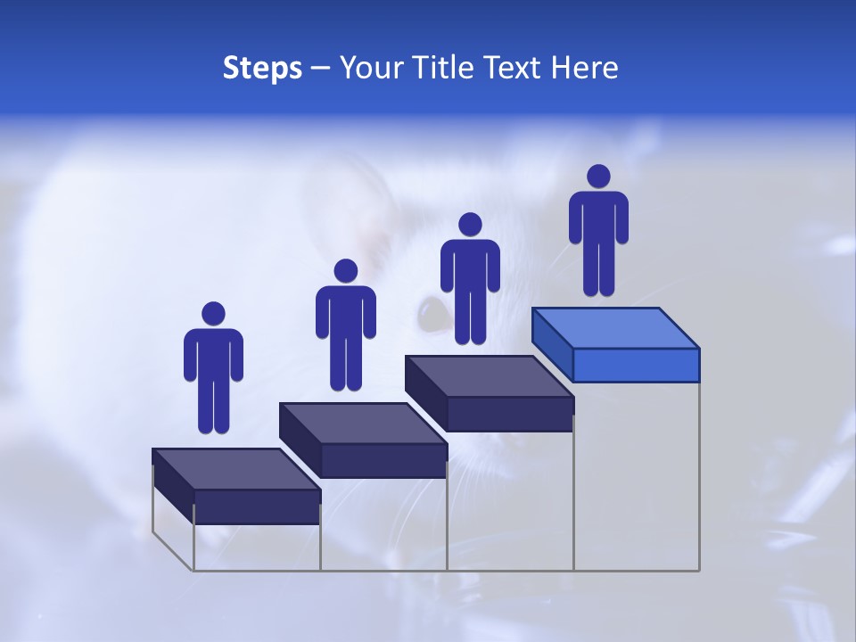 Equipment Flask Pipette PowerPoint Template