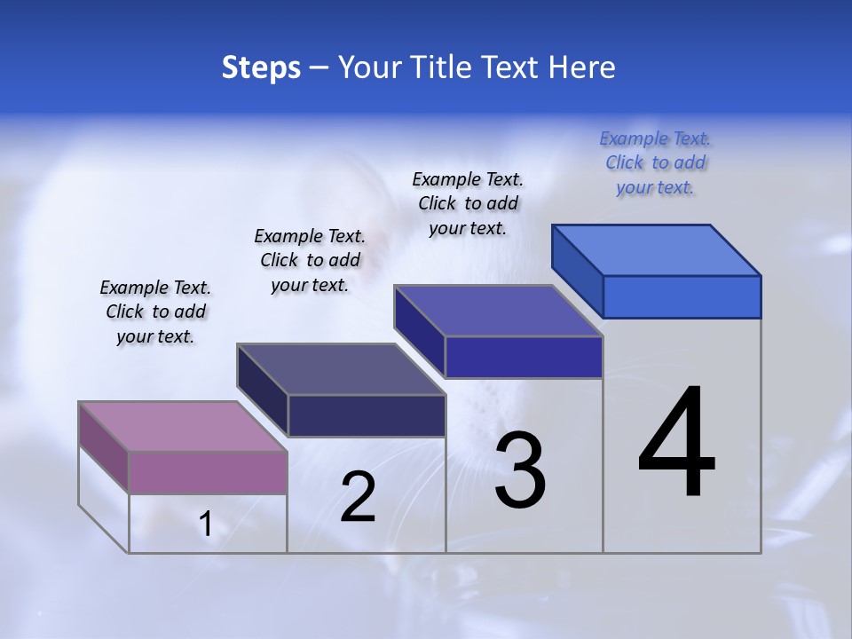 Equipment Flask Pipette PowerPoint Template