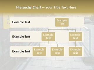 Handicapped Wheel Equipment PowerPoint Template