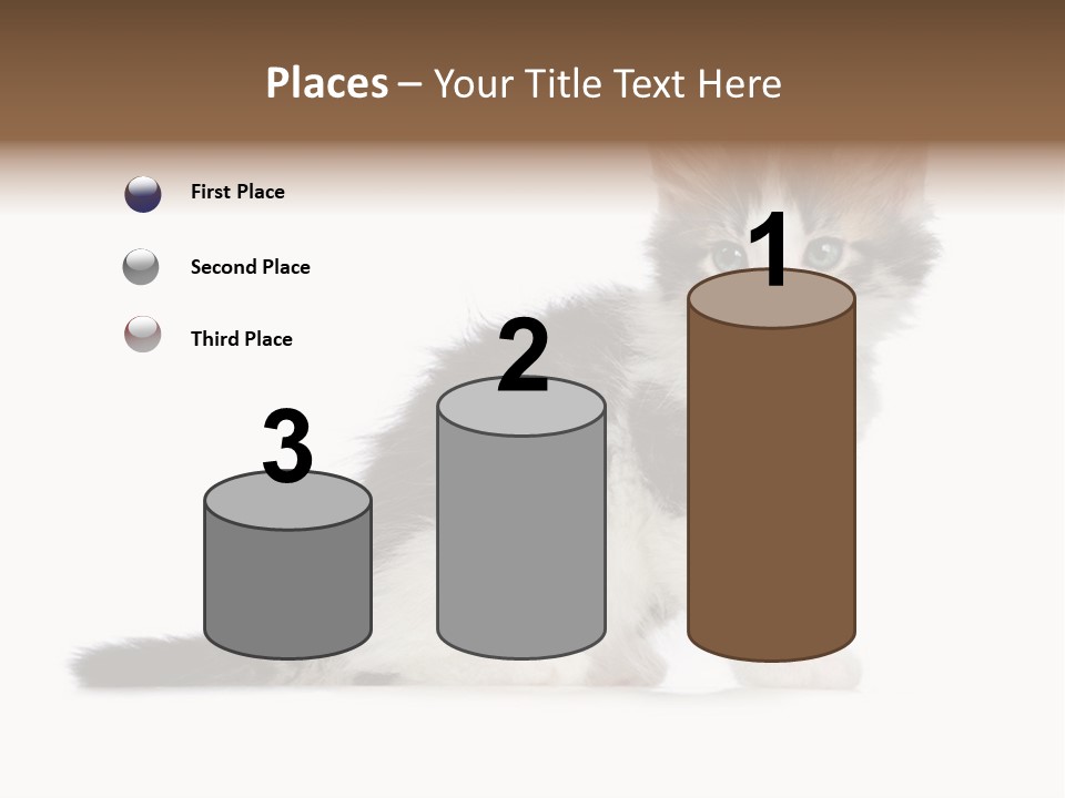 Shorthair Loving Sadness PowerPoint Template