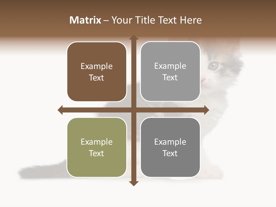 Shorthair Loving Sadness PowerPoint Template