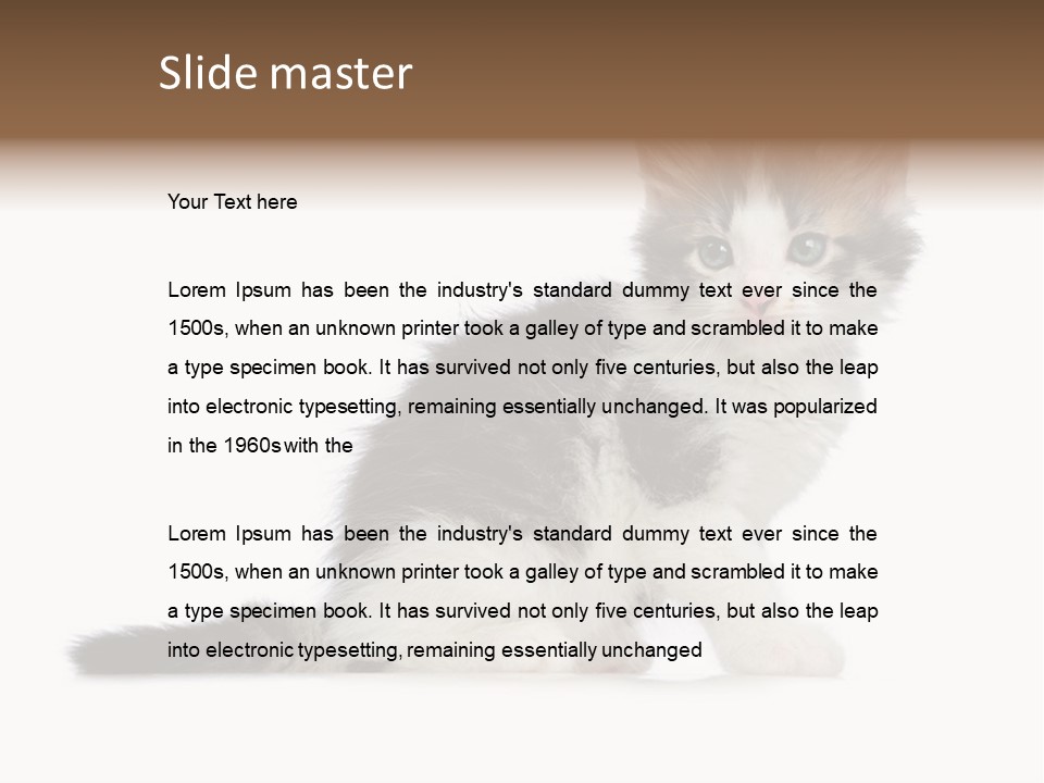 Shorthair Loving Sadness PowerPoint Template