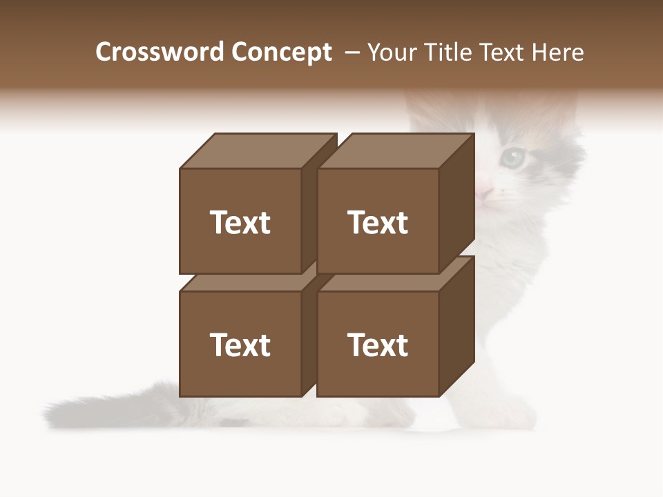 Shorthair Loving Sadness PowerPoint Template