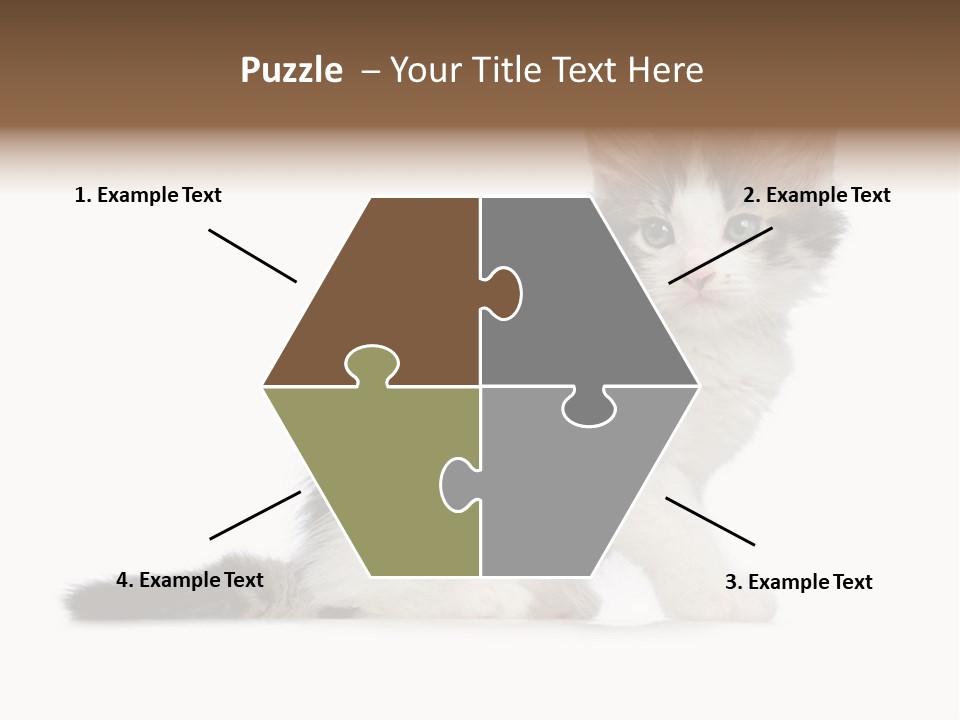 Shorthair Loving Sadness PowerPoint Template