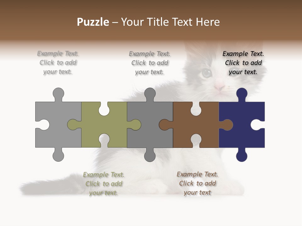 Shorthair Loving Sadness PowerPoint Template