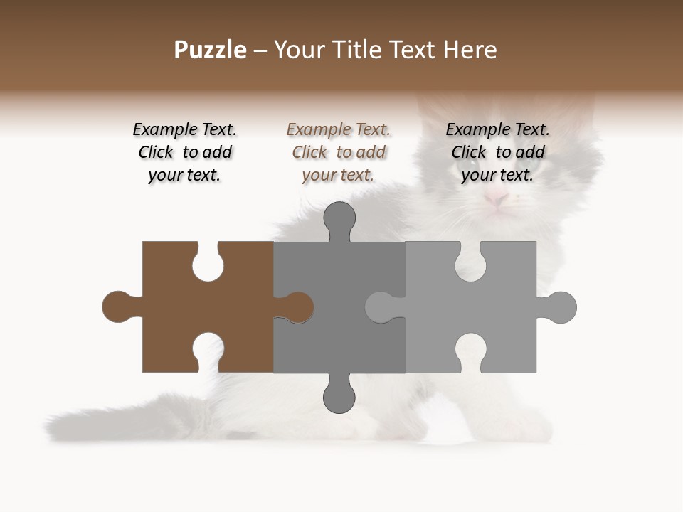 Shorthair Loving Sadness PowerPoint Template