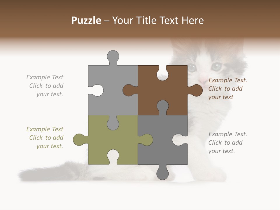 Shorthair Loving Sadness PowerPoint Template