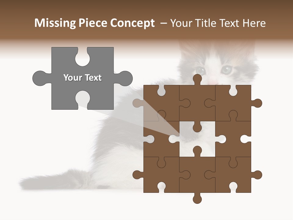 Shorthair Loving Sadness PowerPoint Template