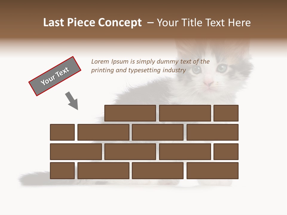 Shorthair Loving Sadness PowerPoint Template