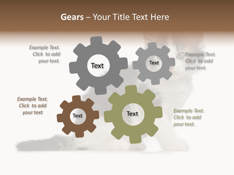 Shorthair Loving Sadness PowerPoint Template