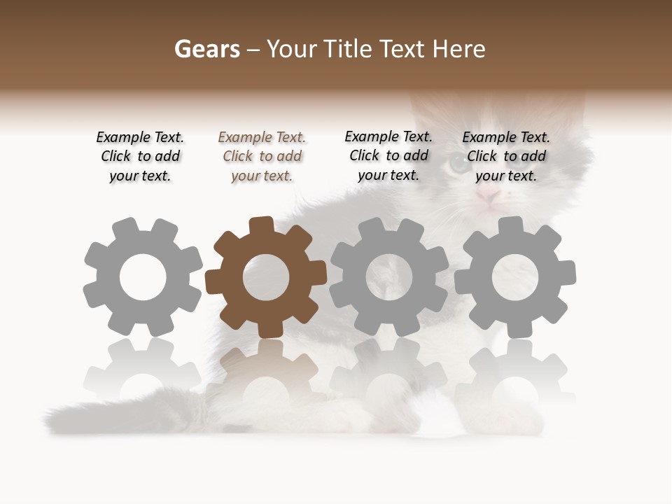 Shorthair Loving Sadness PowerPoint Template