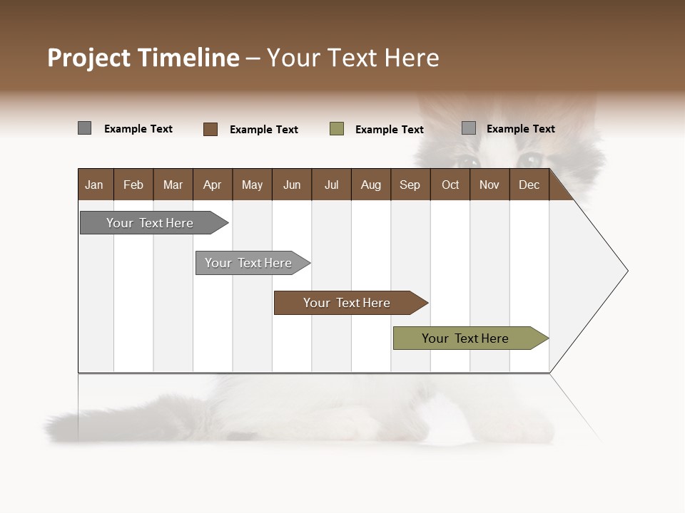 Shorthair Loving Sadness PowerPoint Template