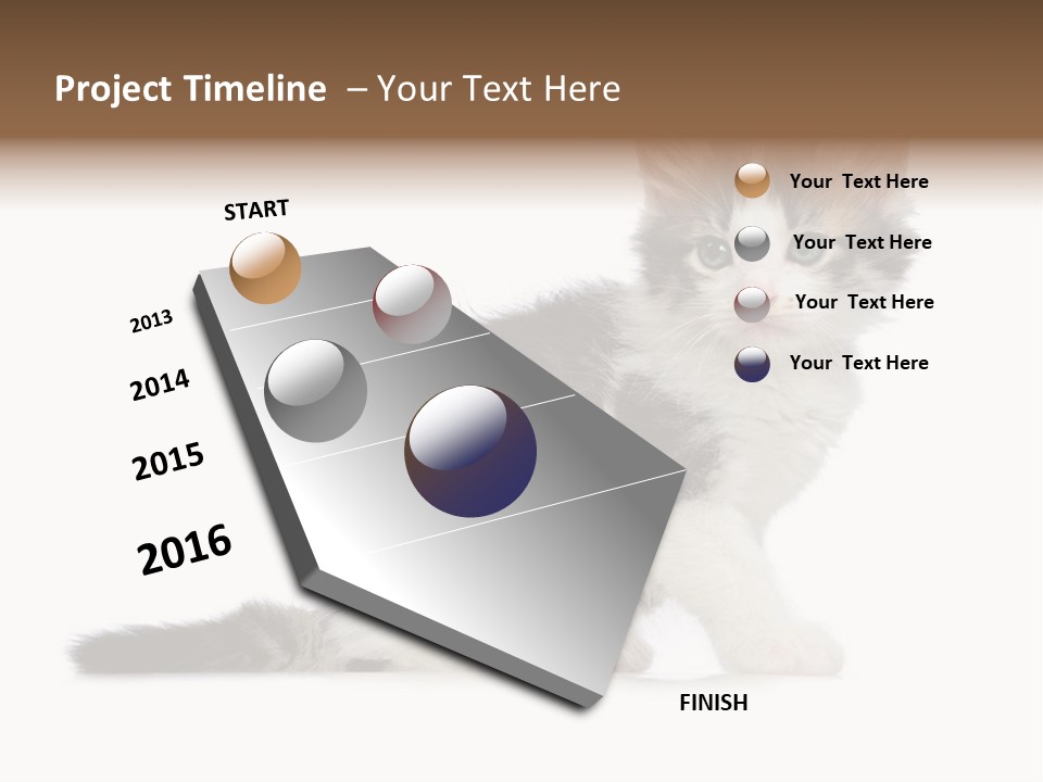 Shorthair Loving Sadness PowerPoint Template