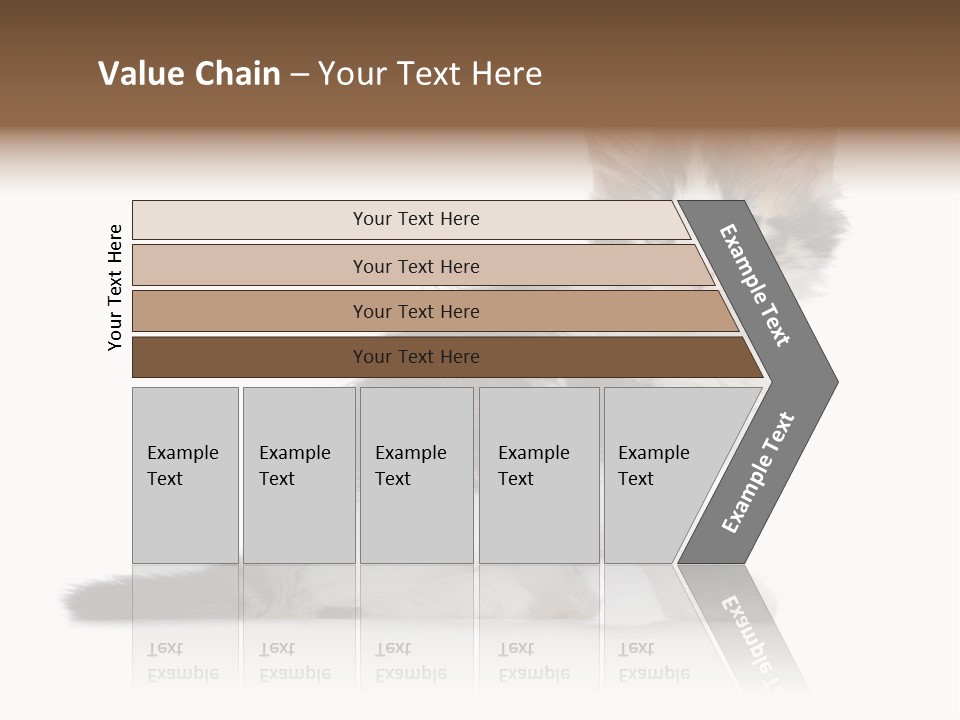Shorthair Loving Sadness PowerPoint Template