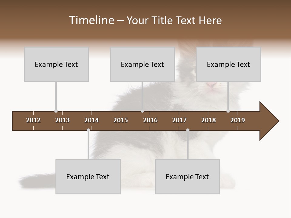 Shorthair Loving Sadness PowerPoint Template
