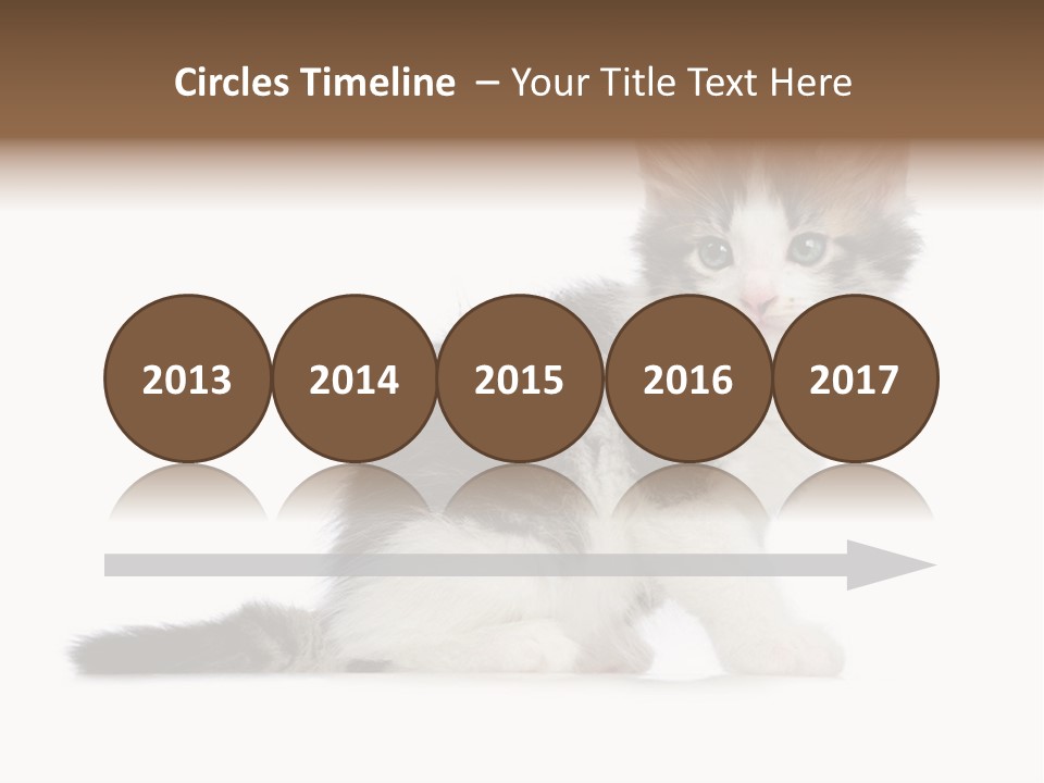 Shorthair Loving Sadness PowerPoint Template