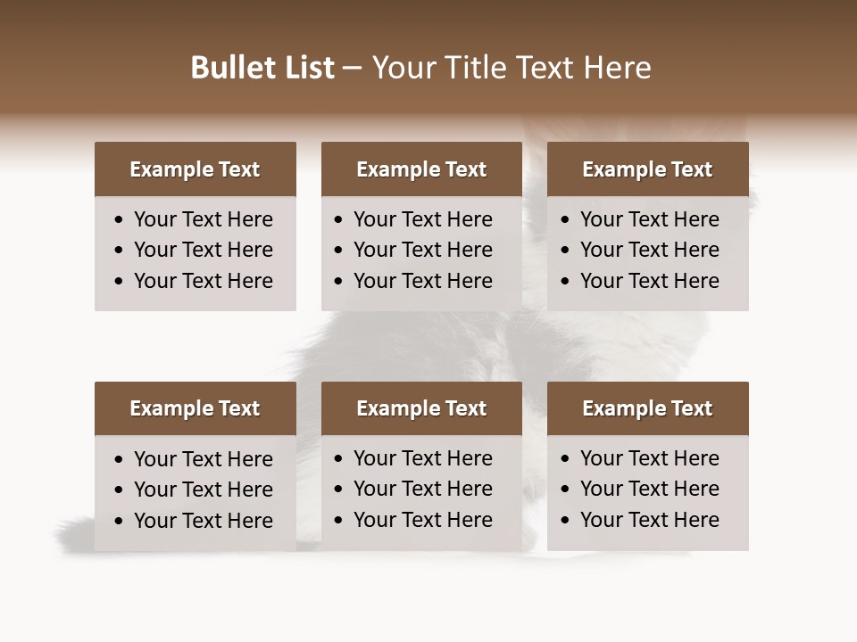 Shorthair Loving Sadness PowerPoint Template
