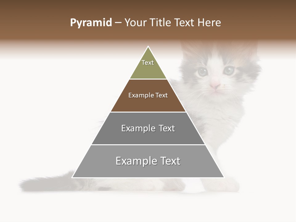 Shorthair Loving Sadness PowerPoint Template