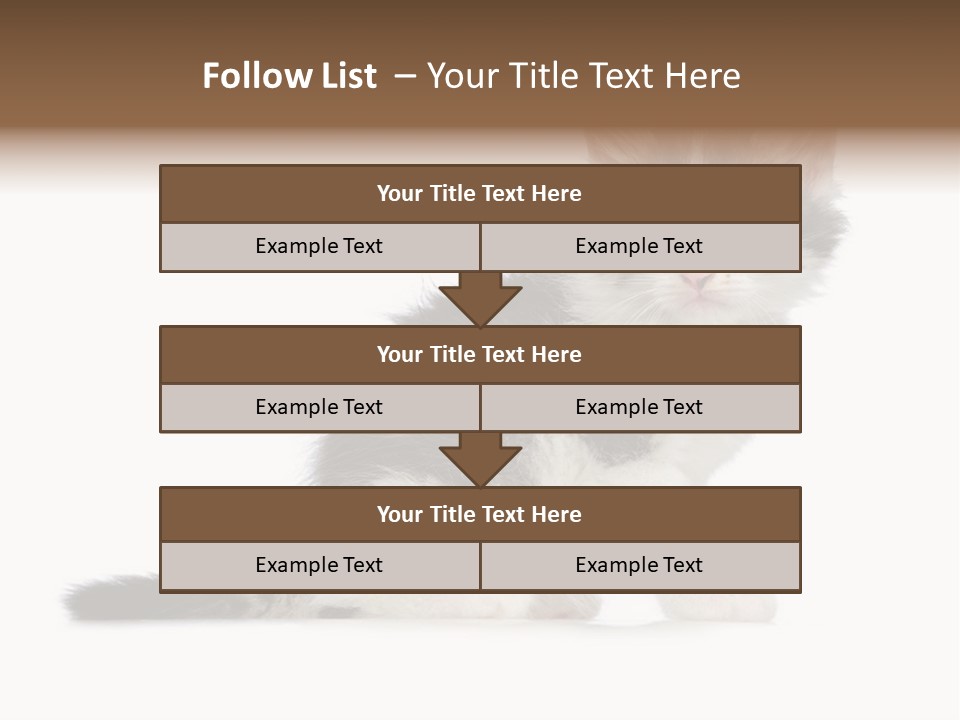 Shorthair Loving Sadness PowerPoint Template